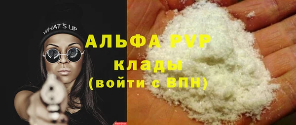 PSILOCYBIN Богданович