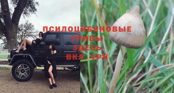 PSILOCYBIN Богданович