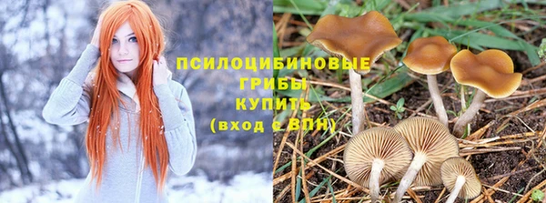PSILOCYBIN Богданович